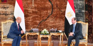 Alimi: President Sisi is perfect example of a brave leader