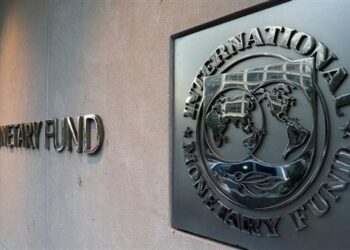 AU, IMF co-organize conference on rational governance