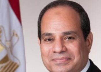 Egypt restores its leading position worldwide under Sisi – Diplomats