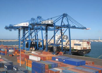 33 container, cargo ships handled at Damietta Port