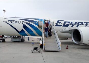 Egypt, UAE probe joint aviation co-operation
