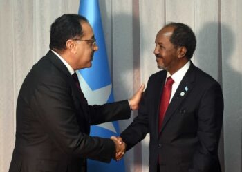Sisi directs to provide all forms of support to Somalia – PM