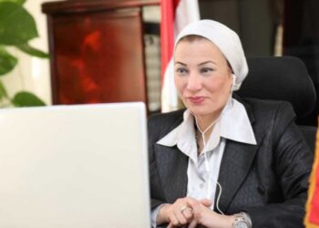 Egypt prioritises climate change issue – Fouad