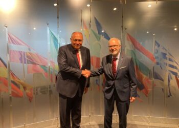 Shoukry, EIB president discuss boosting investments in Egypt in green transformation
