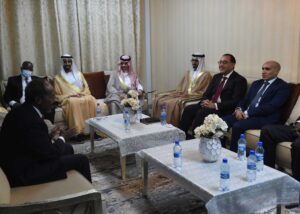 Sisi directs to provide all forms of support to Somalia - PM 2 - Egyptian Gazette