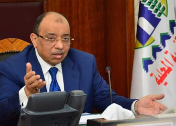 Shaarawi.: Decent Life initiative largest development project in Egypt’s history