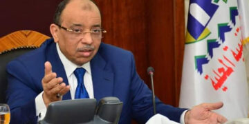 Shaarawi.: Decent Life initiative largest development project in Egypt’s history