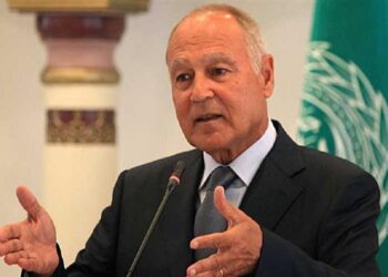 Abul Gheit probes Yemen’s development with Yemeni official