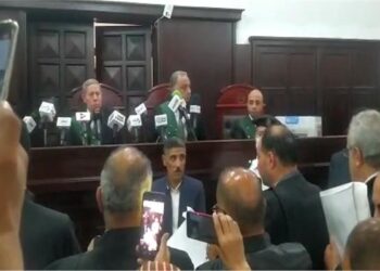 Mansoura criminal court postpones trial of killer of female student to Tuesday