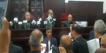 Mansoura criminal court postpones trial of killer of female student to Tuesday