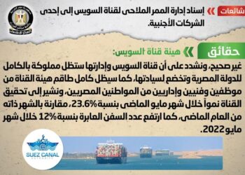 Gov’t denies tasking foreign companies with management of navigation in Suez Canal
