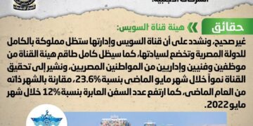Gov't denies tasking foreign companies with management of navigation in Suez Canal 1 - Egyptian Gazette Gov’t denies tasking foreign companies with management of navigation in Suez Canal