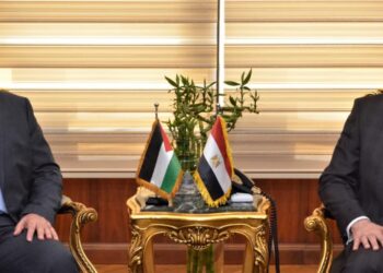 Egypt, Palestine probe boosting air transport co-operation