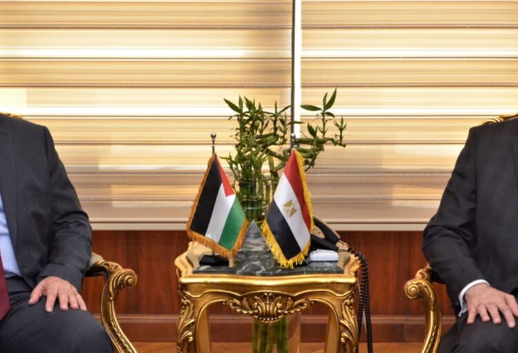 Egypt, Palestine probe boosting air transport co-operation 1 - Egyptian Gazette