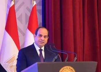 Sisi: June 30 ‘most glorious day in our great nation’