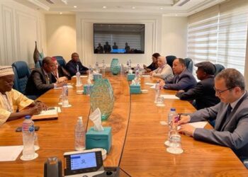 Finance minister: Egypt keen on coordinating African stand toward adopting African vision in COP27