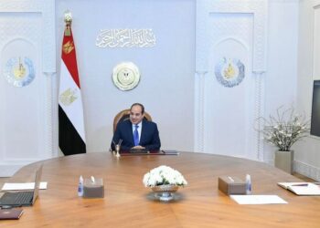 Sisi: New personal status law must address family, community concerns