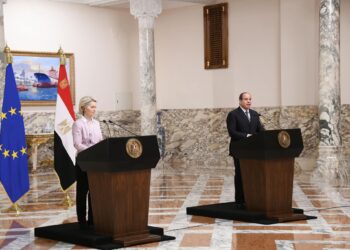 Sisi: EU key partner in various domains