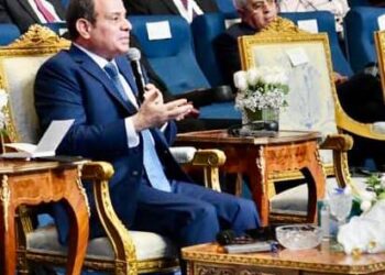 Sisi calls for materialising aspirations of African peoples
