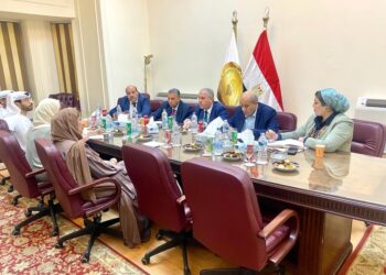 Al-Shorbagy lauds special relations binding Egypt, UAE