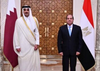 Sisi meets Sheikh Tamim