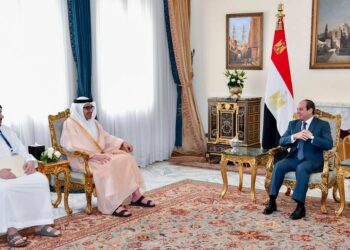 Sisi lauds special Egyptian-UAE relations