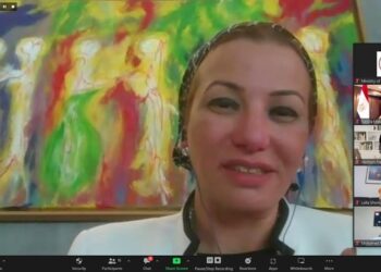 Fouad: COP27 to be real chance for investment in humans