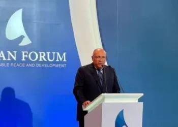 Updated- Shoukri: Egypt to coordinate with African states to serve int’l climate action