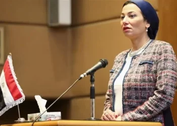 Fouad to par’lt: Egypt has national strategy to face climate changes