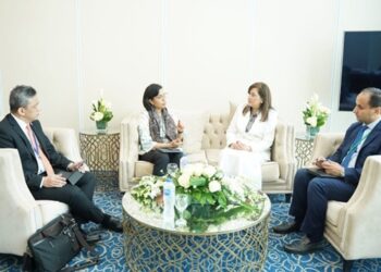 Egypt, Indonesia hand in hand confront global challenges