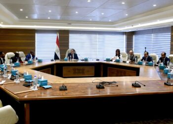 Egyptian, African businessmen discuss encouraging industry in Africa during “Egypt Can” conf.