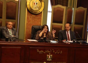 ‘Egypt, under President Sisi, occupies distinguished international position’