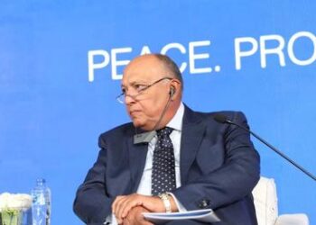 Shourky chairs first session of Aswan Forum