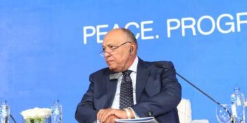 Shourky chairs first session of Aswan Forum