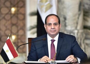 Updated – Sisi underlines importance of joint efforts among African states to confront current challenges