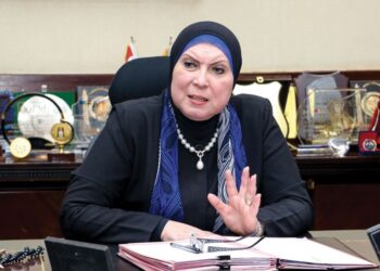 ‘Egypt seek to offer industrial investors distinguished service’
