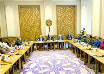 Aswan Forum receives wide African participation