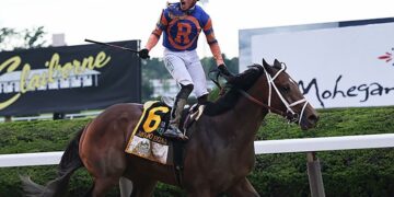 Mo Donegal captures Belmont Stakes 1 - Egyptian Gazette Mo Donegal captures Belmont Stakes