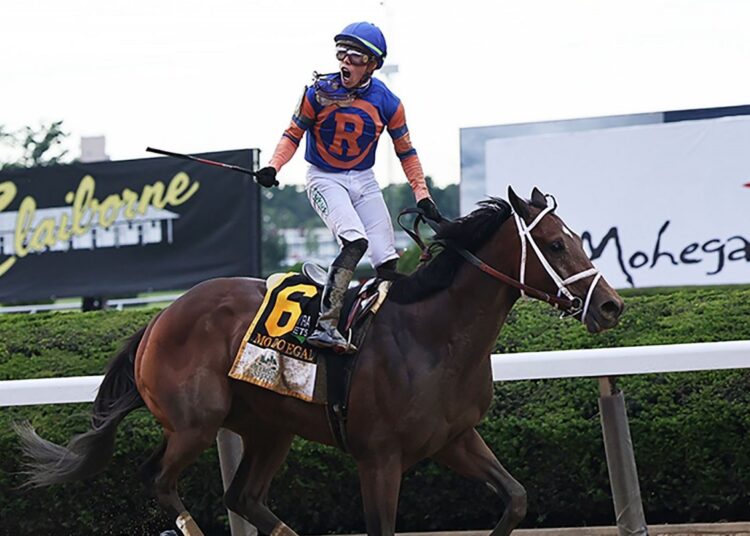 Mo Donegal captures Belmont Stakes 1 - Egyptian Gazette Jockey Irad Ortiz, Jr. ridding Mo Donegal reacts after winning the 154th running of the Belmont Stakes in Elmont, New York,