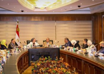 Civil aviation, environment ministers discuss COP27 preparations