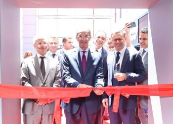 Egypt has regional, int’l leadership in outsourcing – Minister