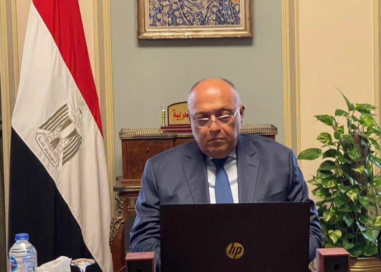 Shoukri partakes in Arab liaison group ministerial meeting on Ukrainian crisis 2 - Egyptian Gazette Shoukri partakes in Arab liaison group ministerial meeting on Ukrainian crisis 1 - Egyptian Gazette