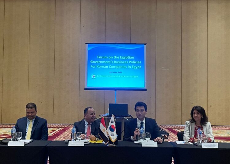 Minister Maeet points up support to Korean companies 1 - Egyptian Gazette