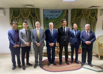 S. Korea keen to co-operate with South Sinai