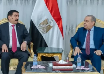 Egypt, Iraq probe co-operation in joint industrialisation, technology transfer