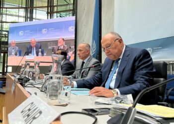 FM reviews priorities of Egyptian presidency of COP27