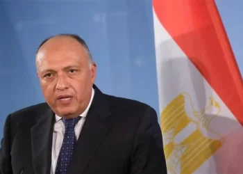 Shoukry: President Sisi’s visit to Bahrain witnessed fruitful, in-depth talks