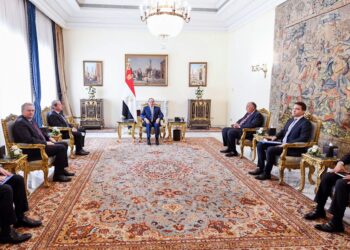 President stresses need to reach legally binding deal on GERD