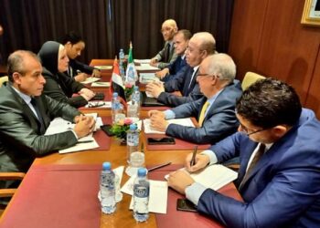 Egypt, Algeria sign 13 agreements in various fields