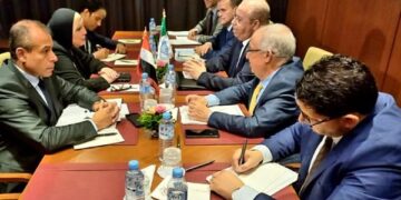 Egypt, Algeria sign 13 agreements in various fields
